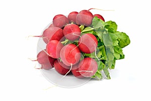 Radishes