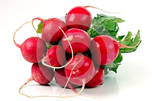 Radishes