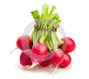 Radishes