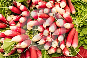 Radishes on display at the farmer's market