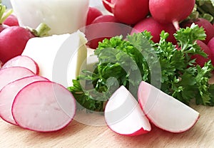 Radishes. Ingredients for radish spread or radish soup - radishes, butter, cream and green parsley.