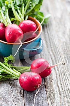 Radishes on a Wooden Table