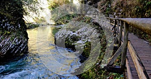 Radovna river flows in Vintgar Gorge. Wooden bridges. Triglav National Park