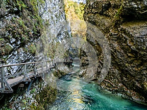 Radovna river in  Vintgar gorge, Slovenia