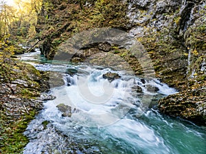 Radovna river in  Vintgar gorge, Slovenia