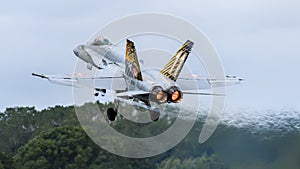 Swiss Air Force F-18 Fighter Jet