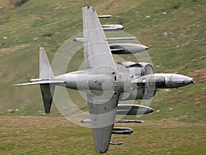 RAF Harrier