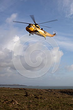 RAF Seaking