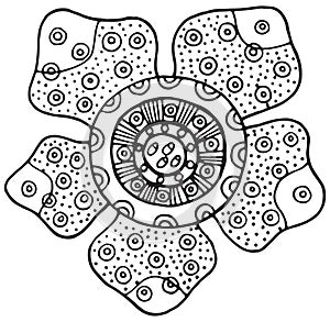 Rafflesia flower vector isolated element