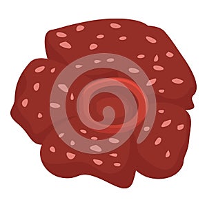 Rafflesia icon cartoon vector. Tropical floral
