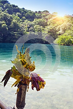 Raft on the bank of the Blue lagoon, Jamaica