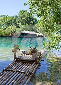 Raft on the bank of the Blue lagoon, Jamaica