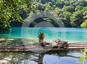 Raft on the bank of the Blue lagoon, Jamaica