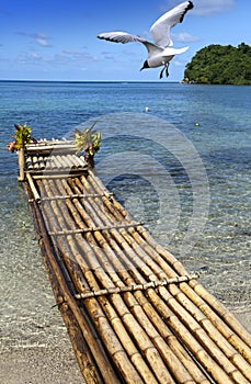 Raft on the bank of the lagoon, Jamaica