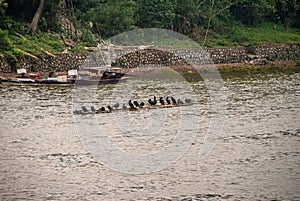 Raft with black cormorant birds along Li River in Guilin, China