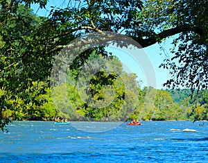 Rafting on the French Broad River on a Summer Day