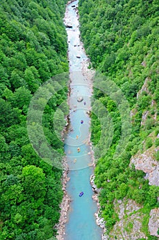 Rafting on the river Tara in Montenegro