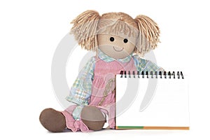 Rag-doll, blank paper sheet in cage, on white background