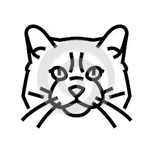 ragdoll cat cute pet line icon vector illustration