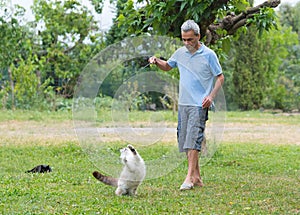 ragdoll cat and man in garden