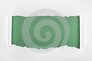 Ragged textured white paper with curl edges on green background.