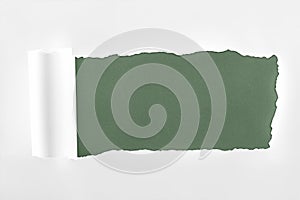 Ragged textured white paper with rolled edge on dark green background.