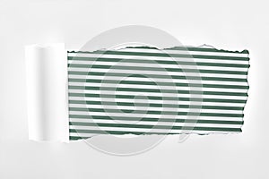 Ragged textured white paper with rolled edge on green striped background.