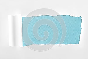 Ragged textured white paper with rolled edge on light blue background.