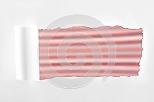 Ragged textured white paper with rolled edge on red striped background.