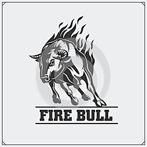 Raging bull. Vector emblem, label and badge.