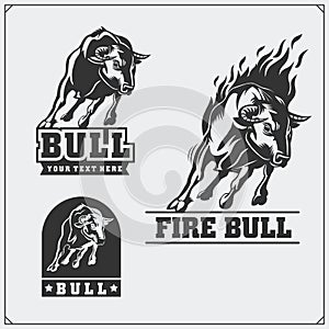 Raging bull. Vector emblems, labels and badges.