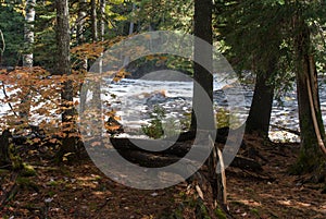 Raging on the crest of the cliff Lower Falls, Tahquamenon River, Michigan, USA