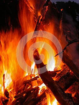 Raging Flames of Bonfire