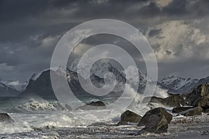 Raging and furious sea otside Storsandnes in Lofoten