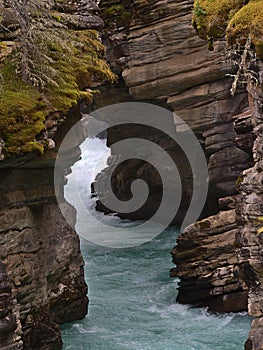 Raging river flowing through narrow gorge with layered eroded rocks at Athabasca Falls in Jasper National Park, Alberta, Canada.