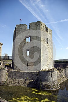 Raglan Castle Great Tower