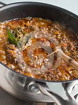 Ragu Sauce in a Saucepan photo