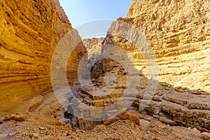 Rahaf valley, Dead Sea coast, Judaean Desert