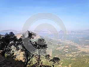 raigad forest view photo