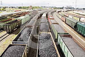 Rail cars loaded with coal.