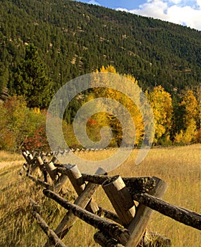 Rail Fence Mountain Meadow