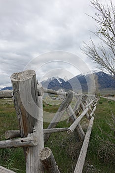 Rail Fence near Mackay, Idaho