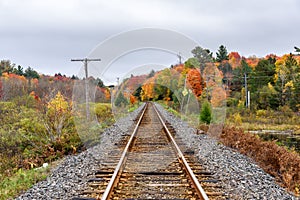 Rail line through a deciduos forest on a cloudy autumn day