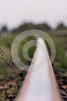 Rail. Nature in `Tekeli`. Spring. Kazakhstan.