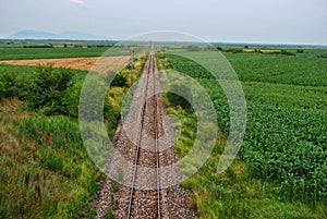 Rail in nature under bridge in Vojvodina