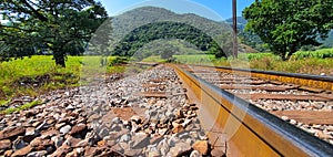 Rail roads among nature photo