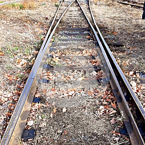 Rail tracks on the outskirts of Arad city