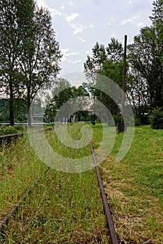 Rail tracks overgrown in the grass