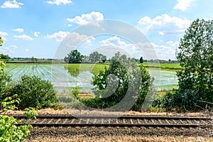 Rail tracks and rice fields, Lomellina (Italy)