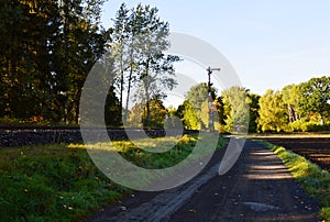 Rail Way and Trail in the Heath Lueneburger Heide, Walsrode, Lower Saxony